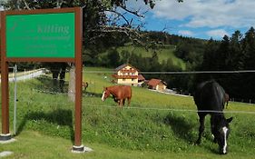 Urlaub Am Bauernhof Familie Kitting