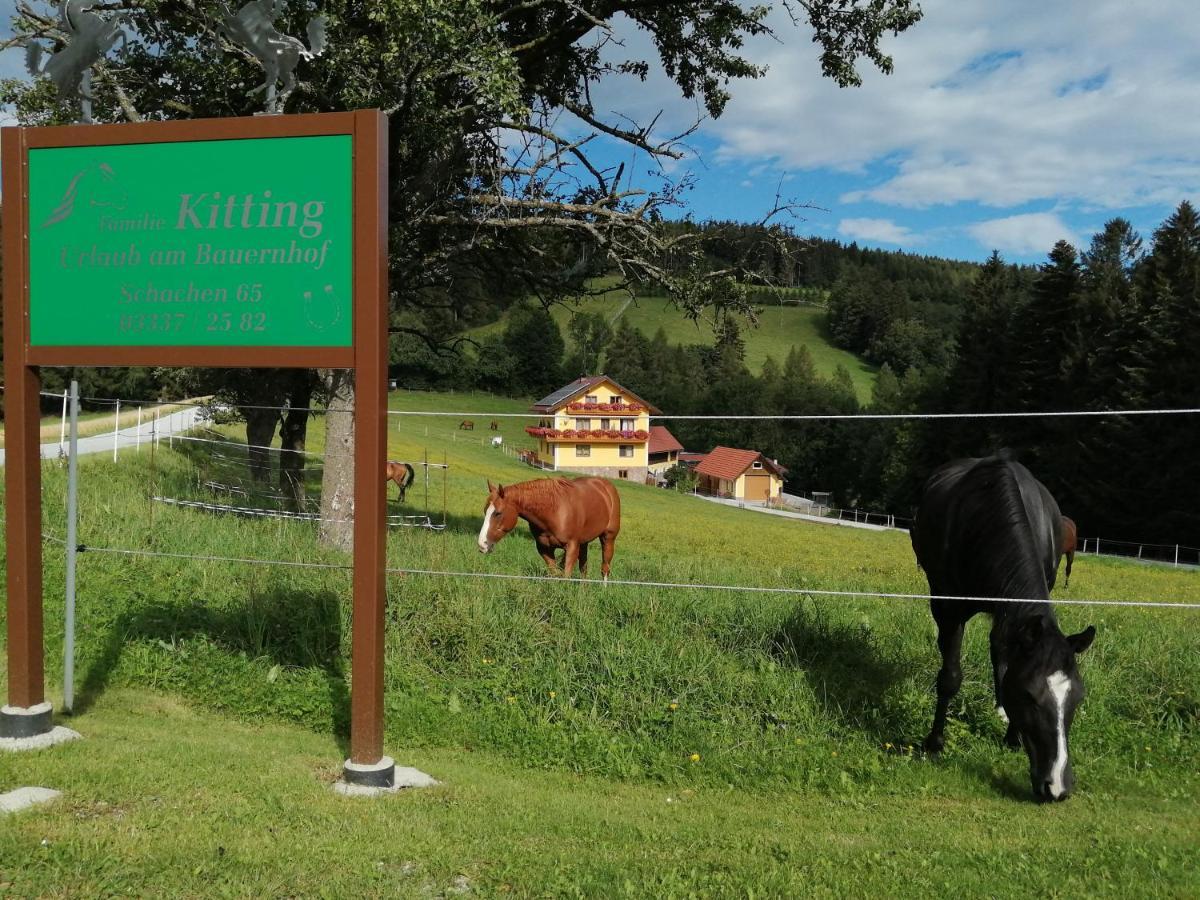 Urlaub Am Bauernhof Familie Kitting Villa Vorau Kültér fotó