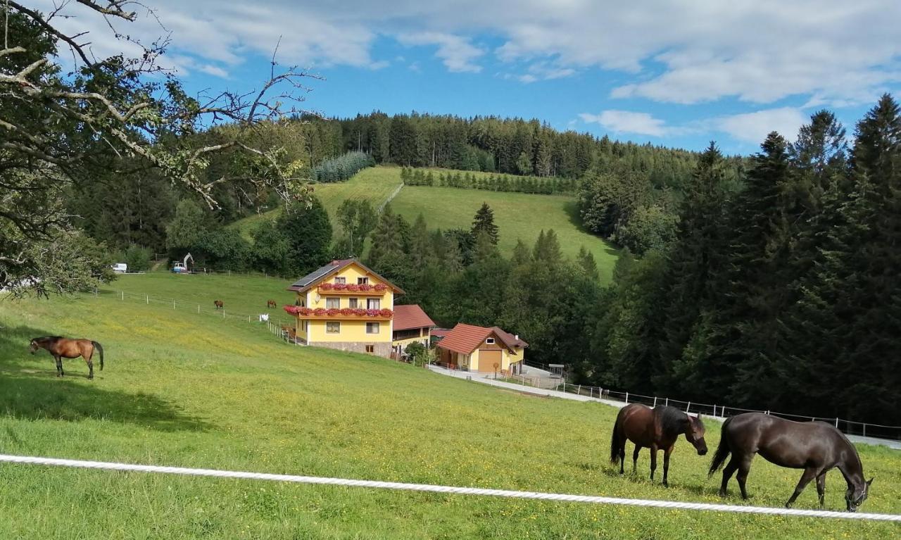 Urlaub Am Bauernhof Familie Kitting Villa Vorau Kültér fotó